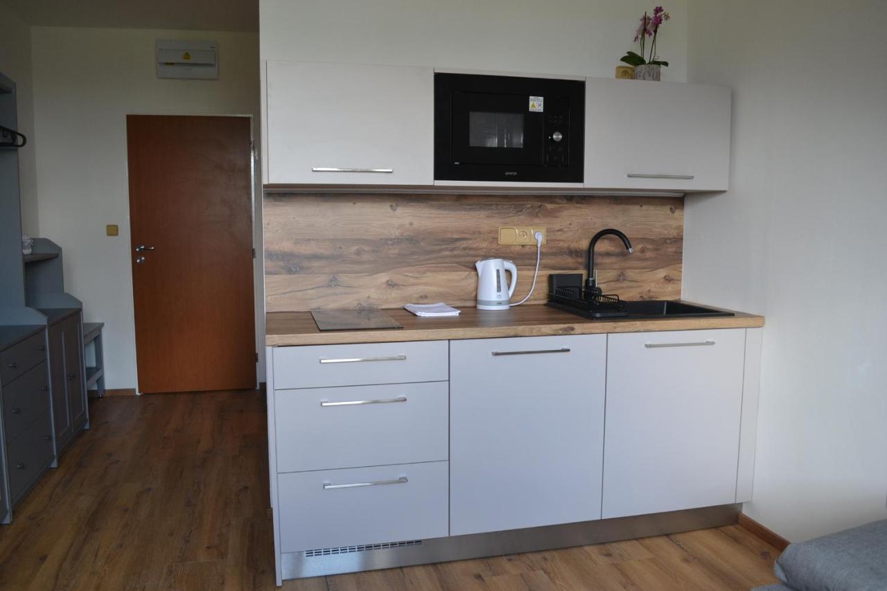 Apartman Benesovka Vacov Экстерьер фото